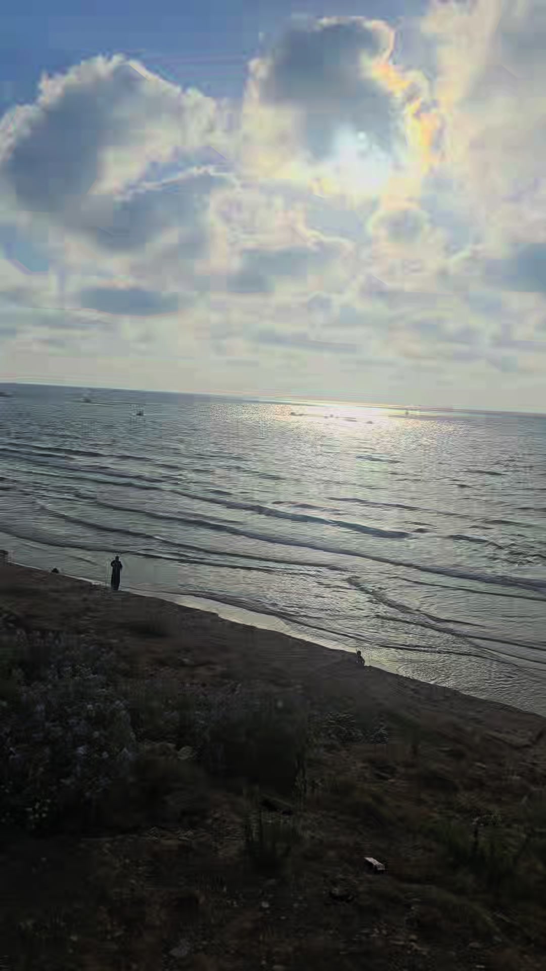 @الاء زيدان سكران محاميد
