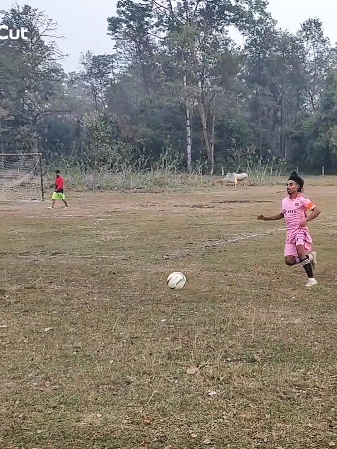 @Nabinchaudhary537