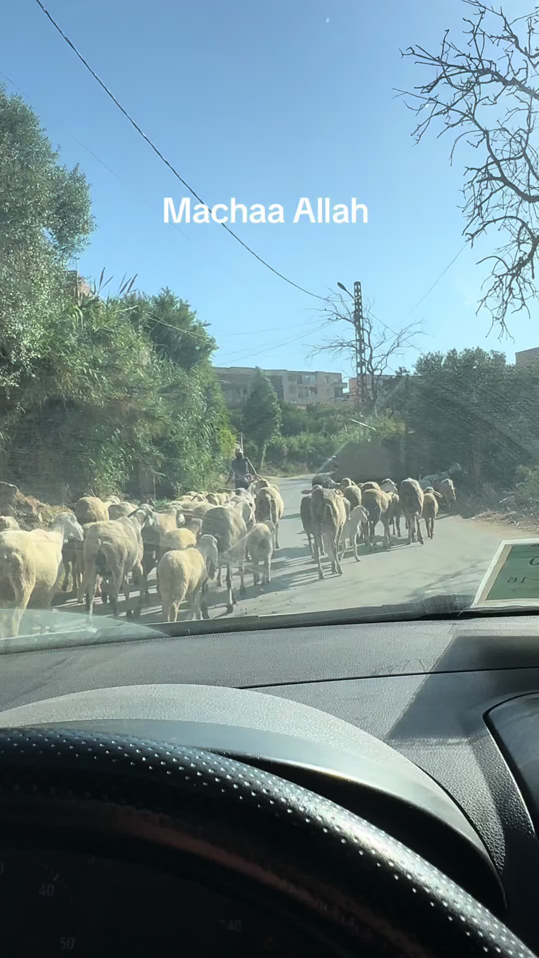 @Ηλίας