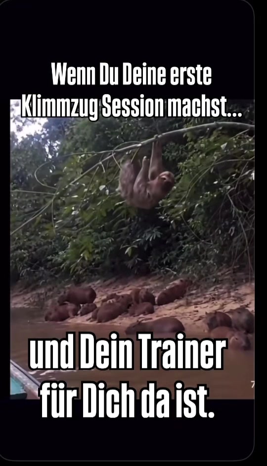 @Dr.ulrichgeorgstrauch