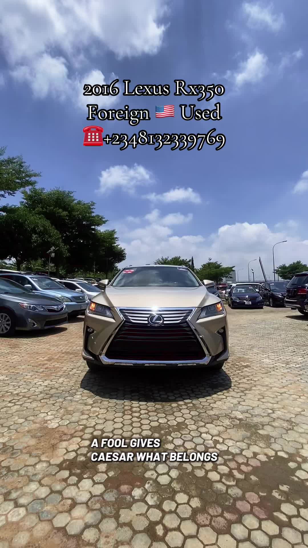 @AJ WHIPS NIGERIA