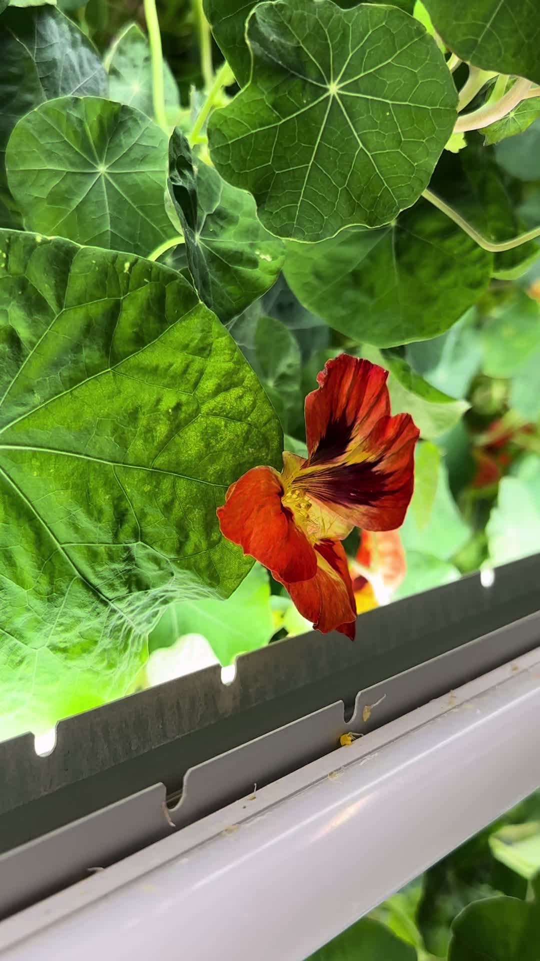 @FarmBox Foods