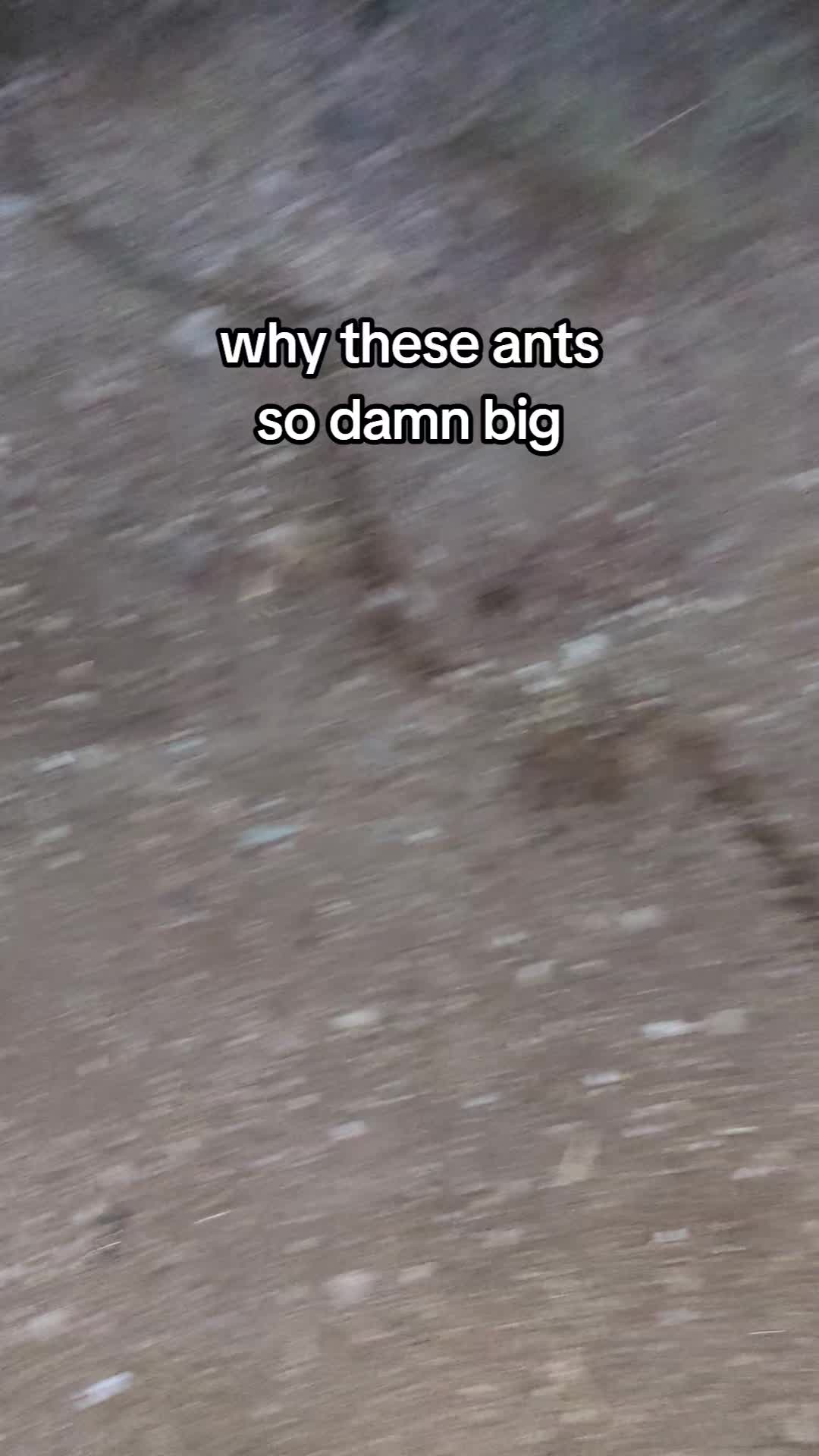 @hxrmless