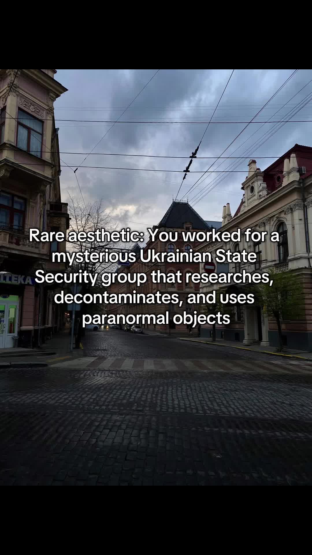 @#1 New Jersey Fan