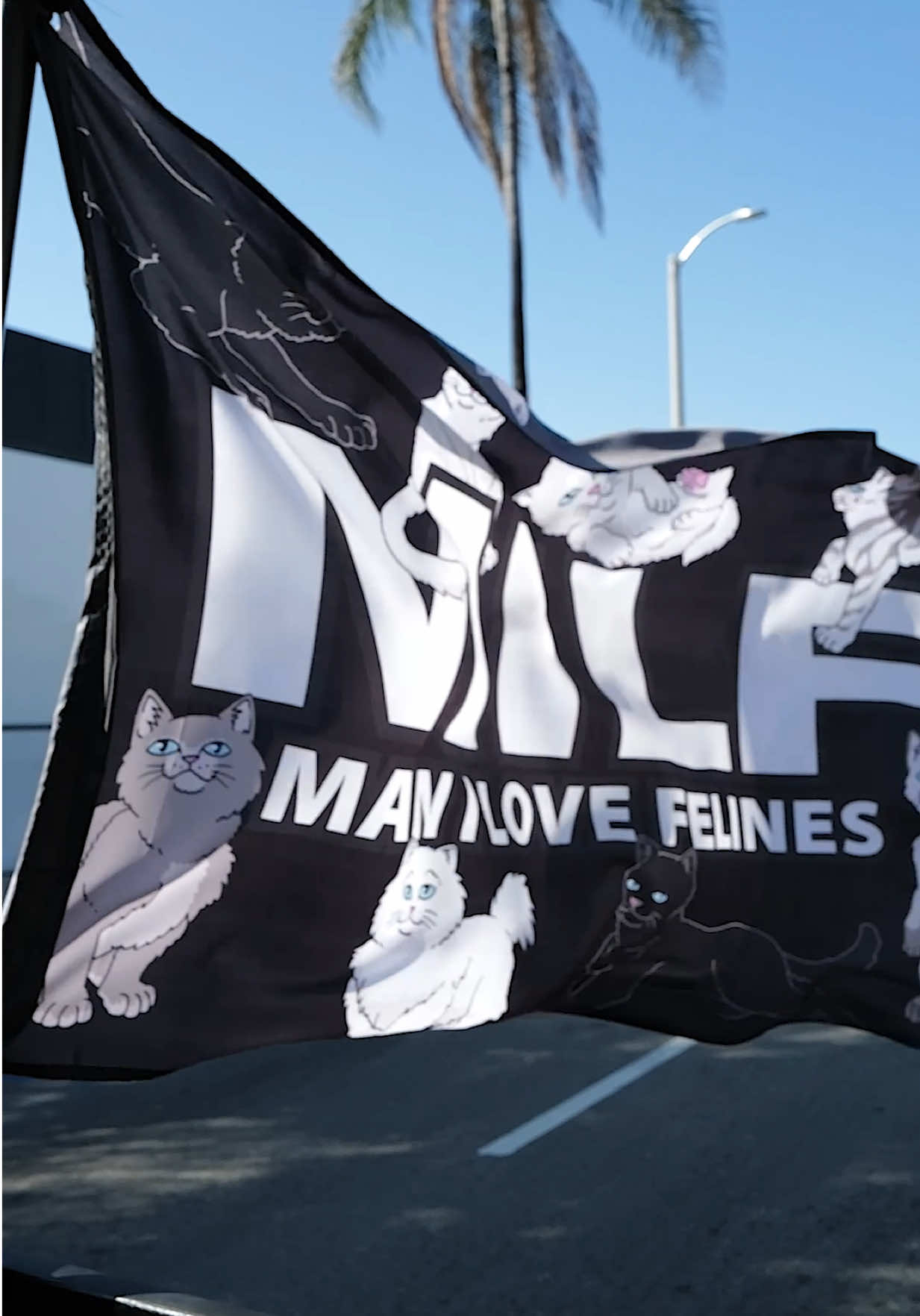 @RIPNDIP