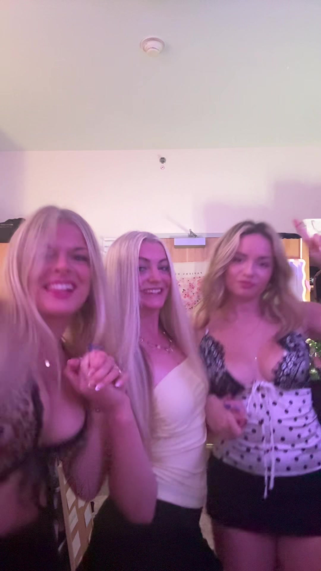 @bellabbyboo