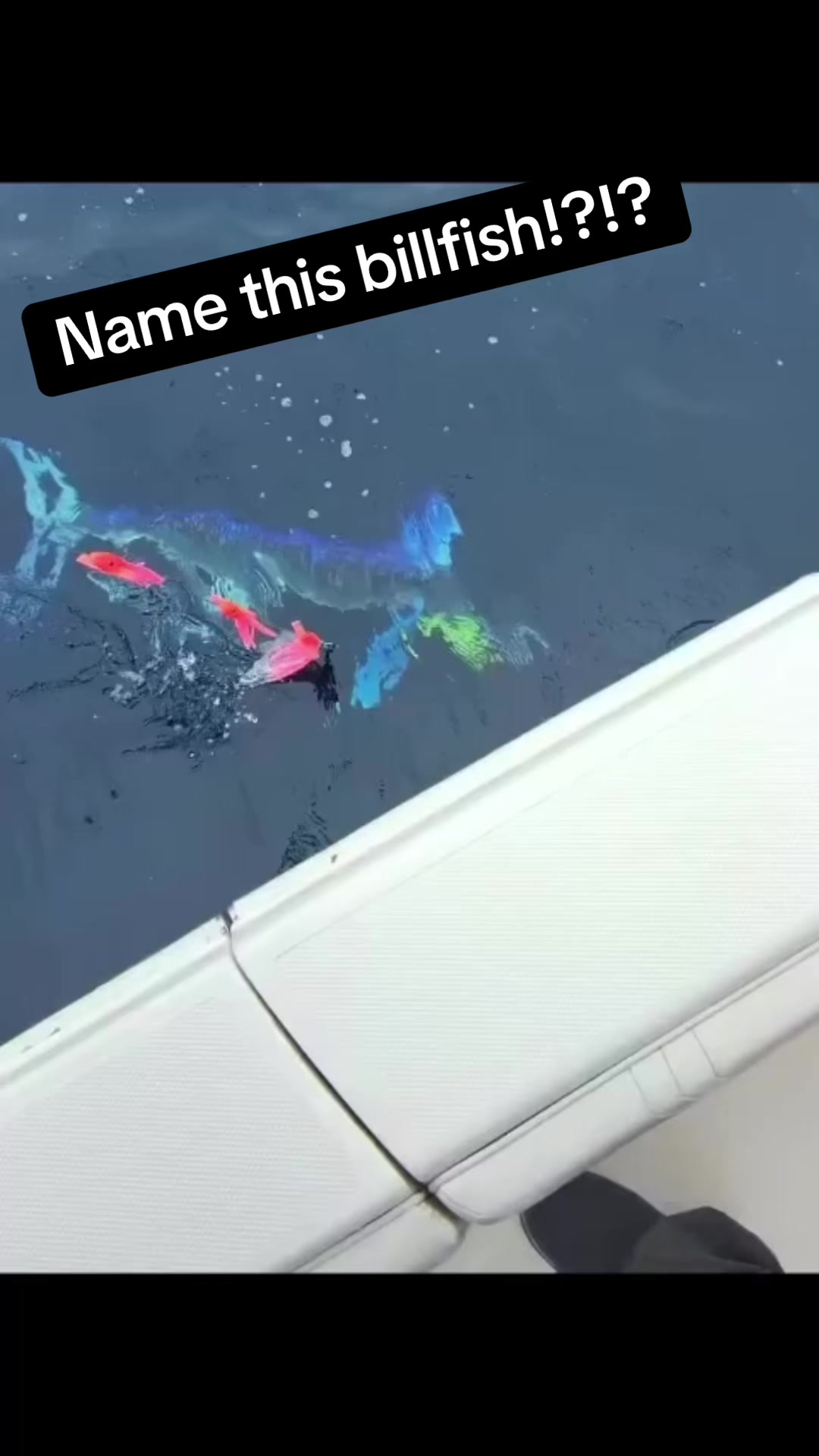 @daily.saltwater