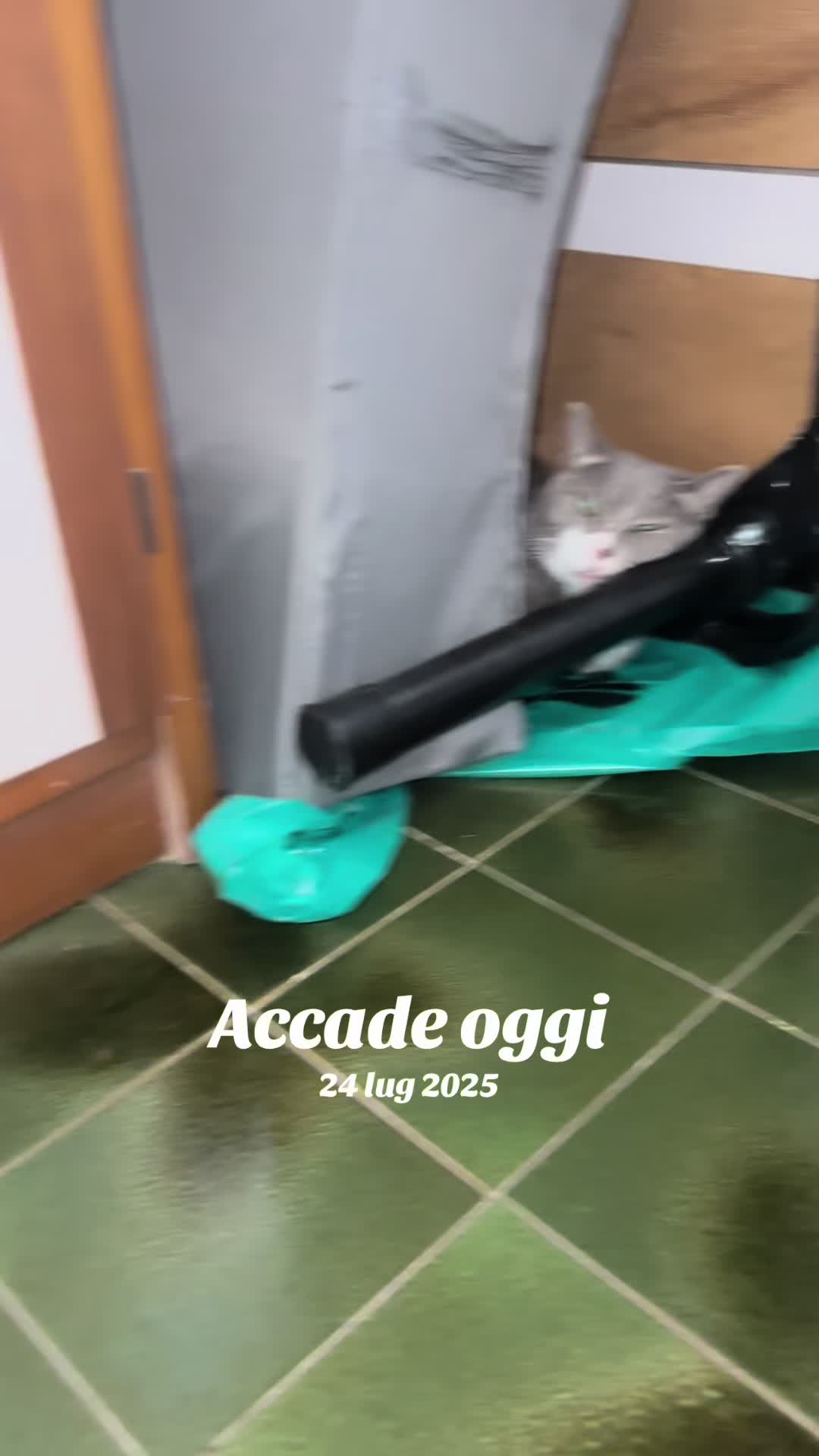 @Elisabetta Di Cesare