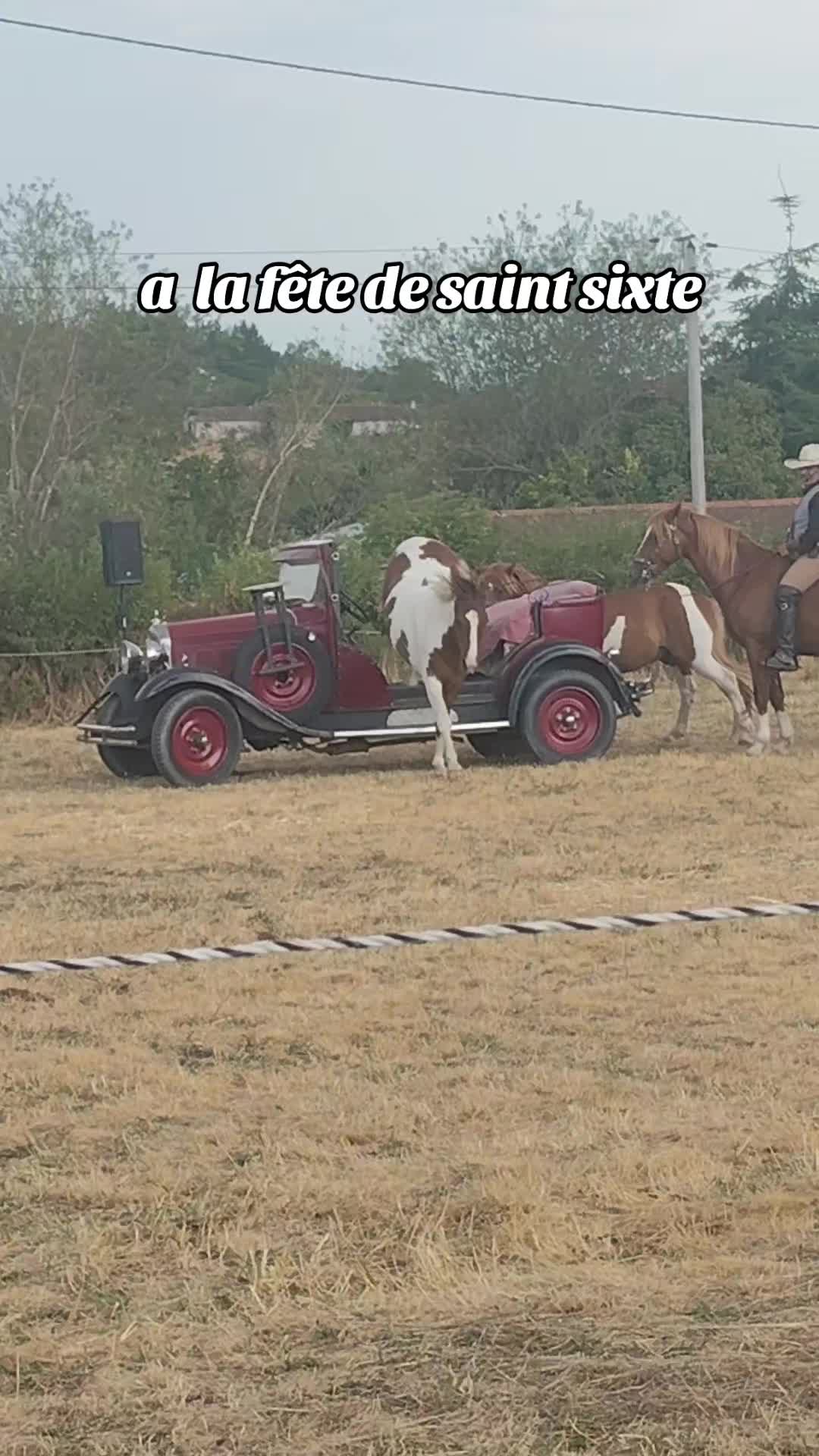 @Maelle petite  ange💎Niko-gsb