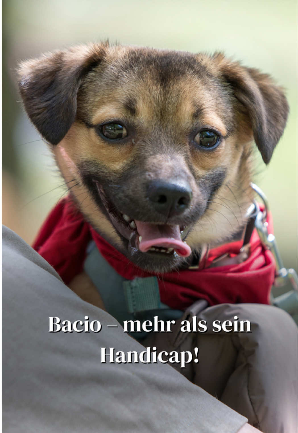 @SpecialDogs e.V.