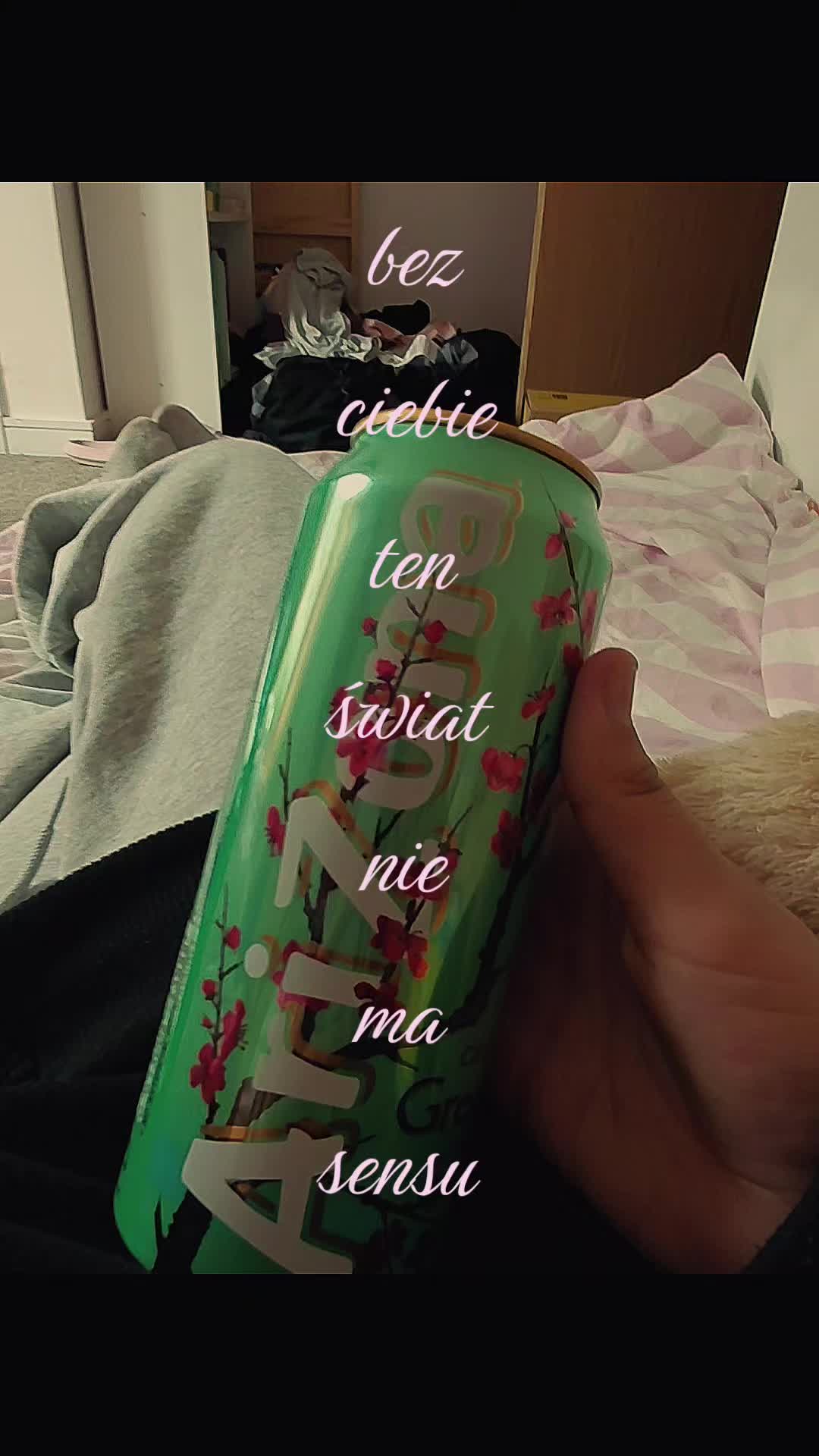 @🪽🌷