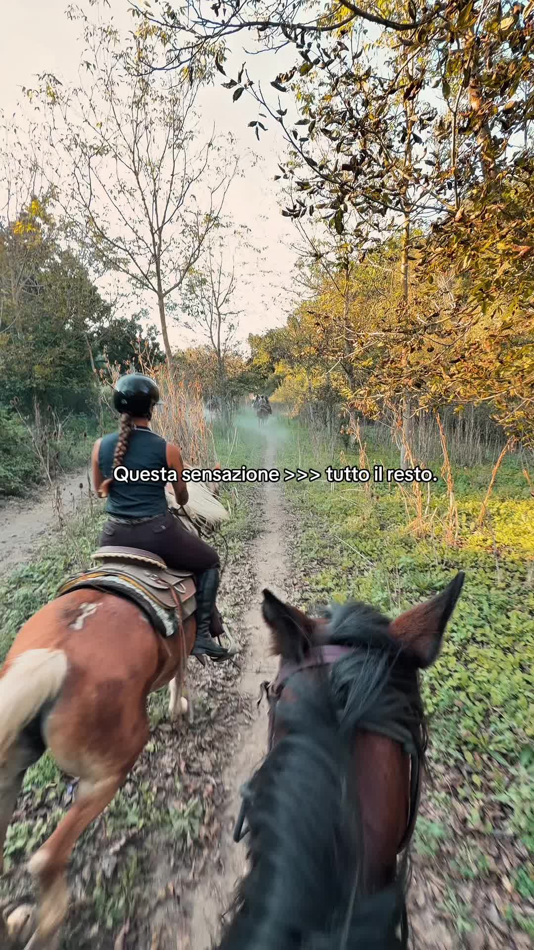@ali