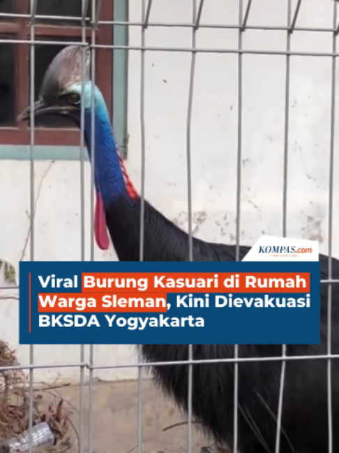 @Kompas.com