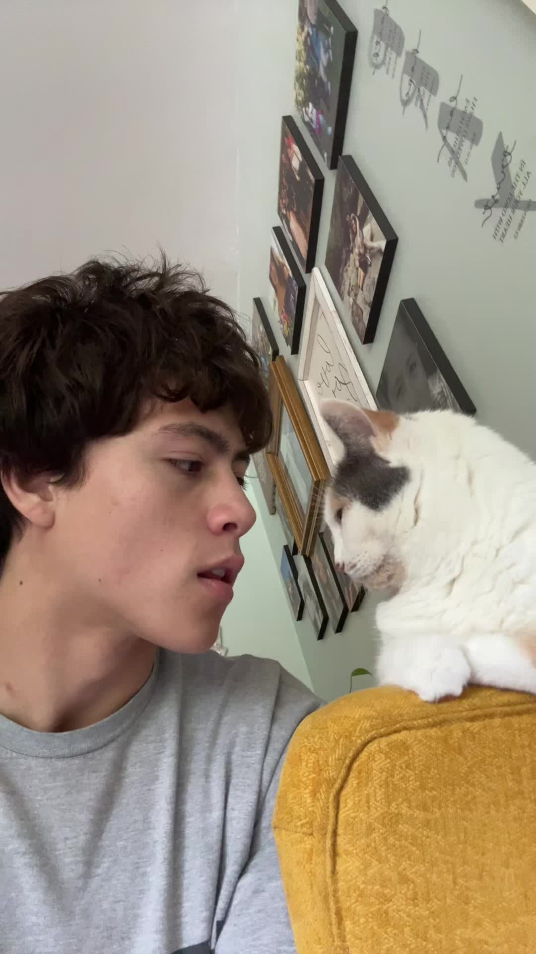 @tycoonfan2