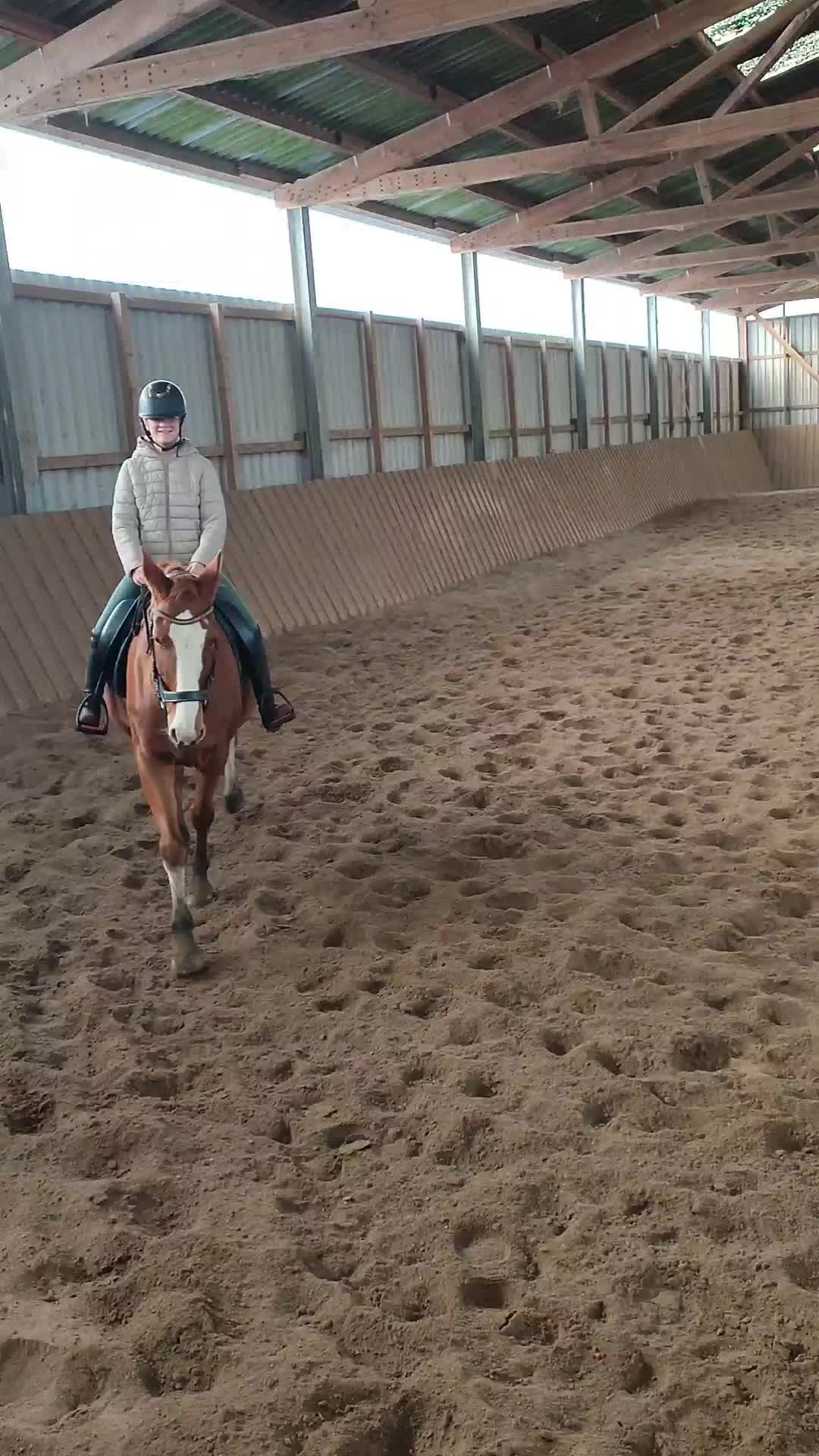 @Horses 🫶🌺