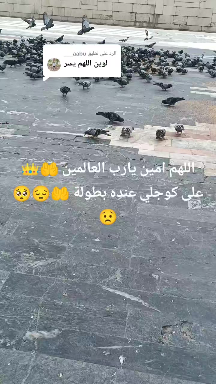 @👑 أم محمد اعمال حره 👑