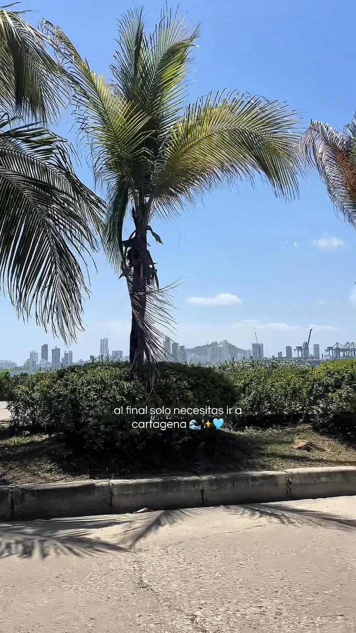 @T🇨🇴