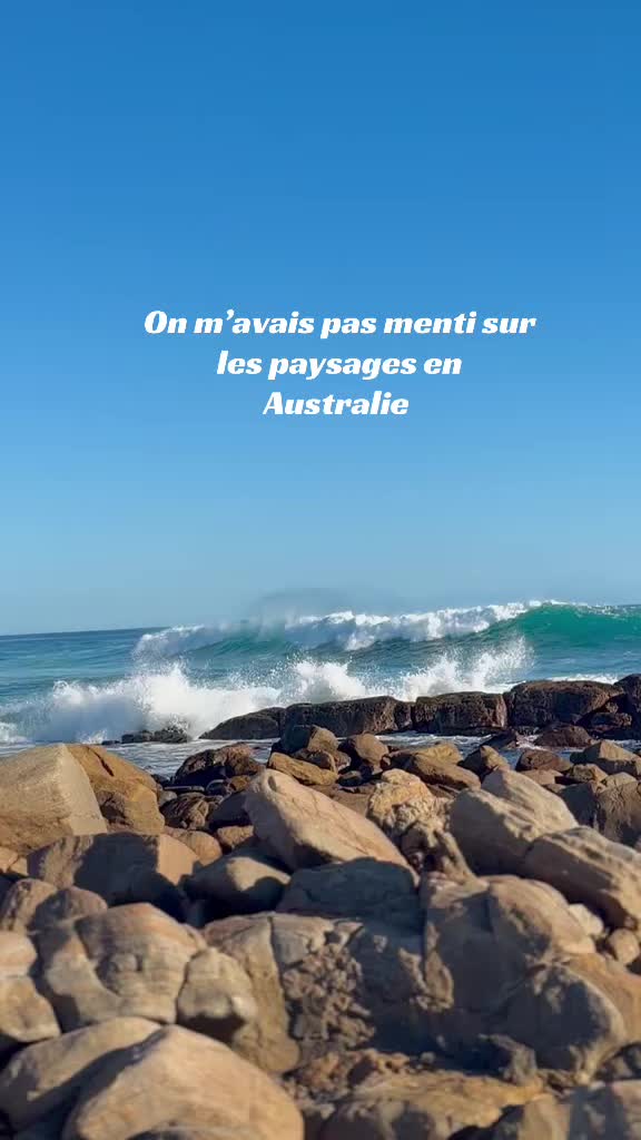 @nowco🥥