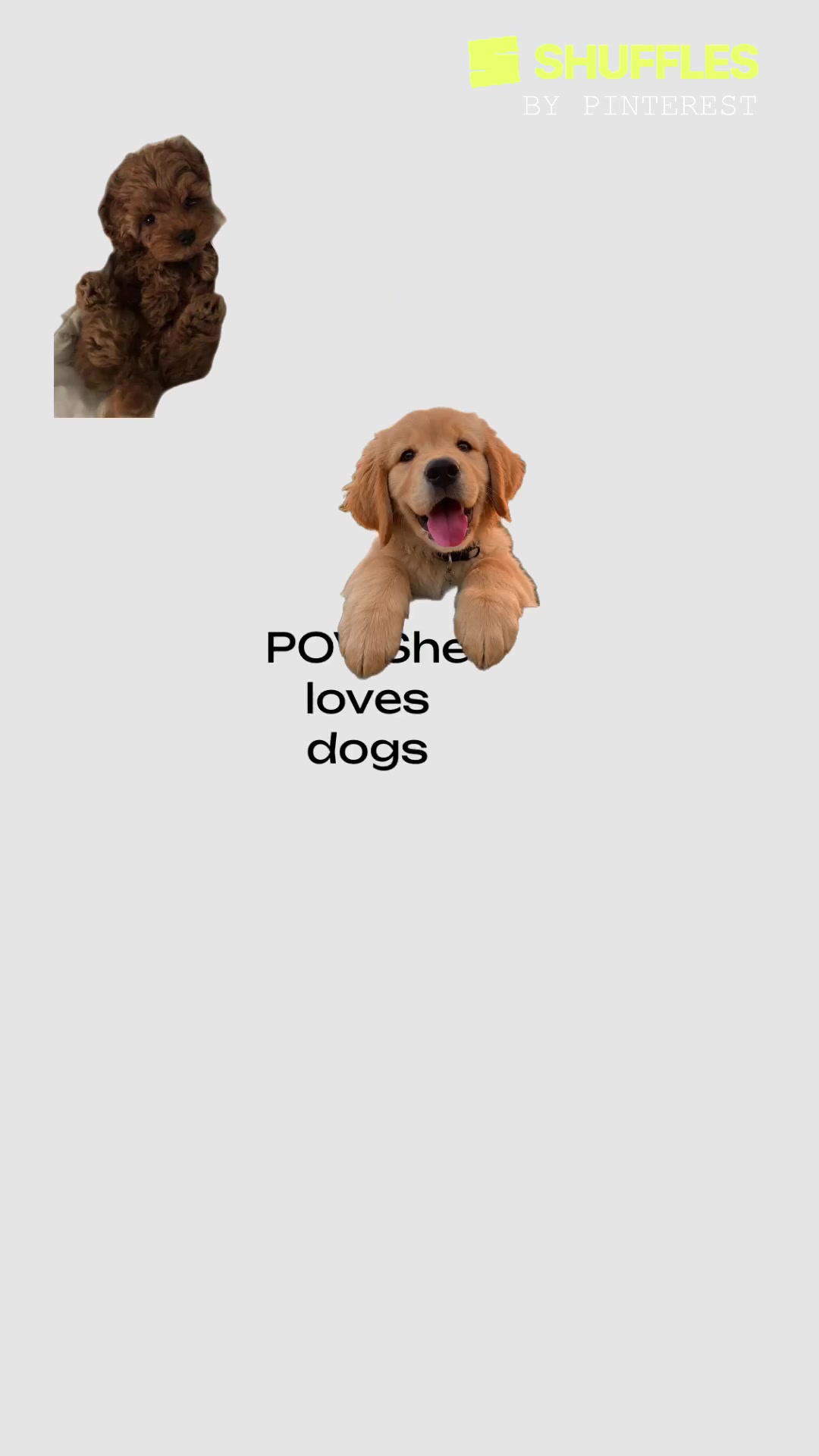 @Zofia W