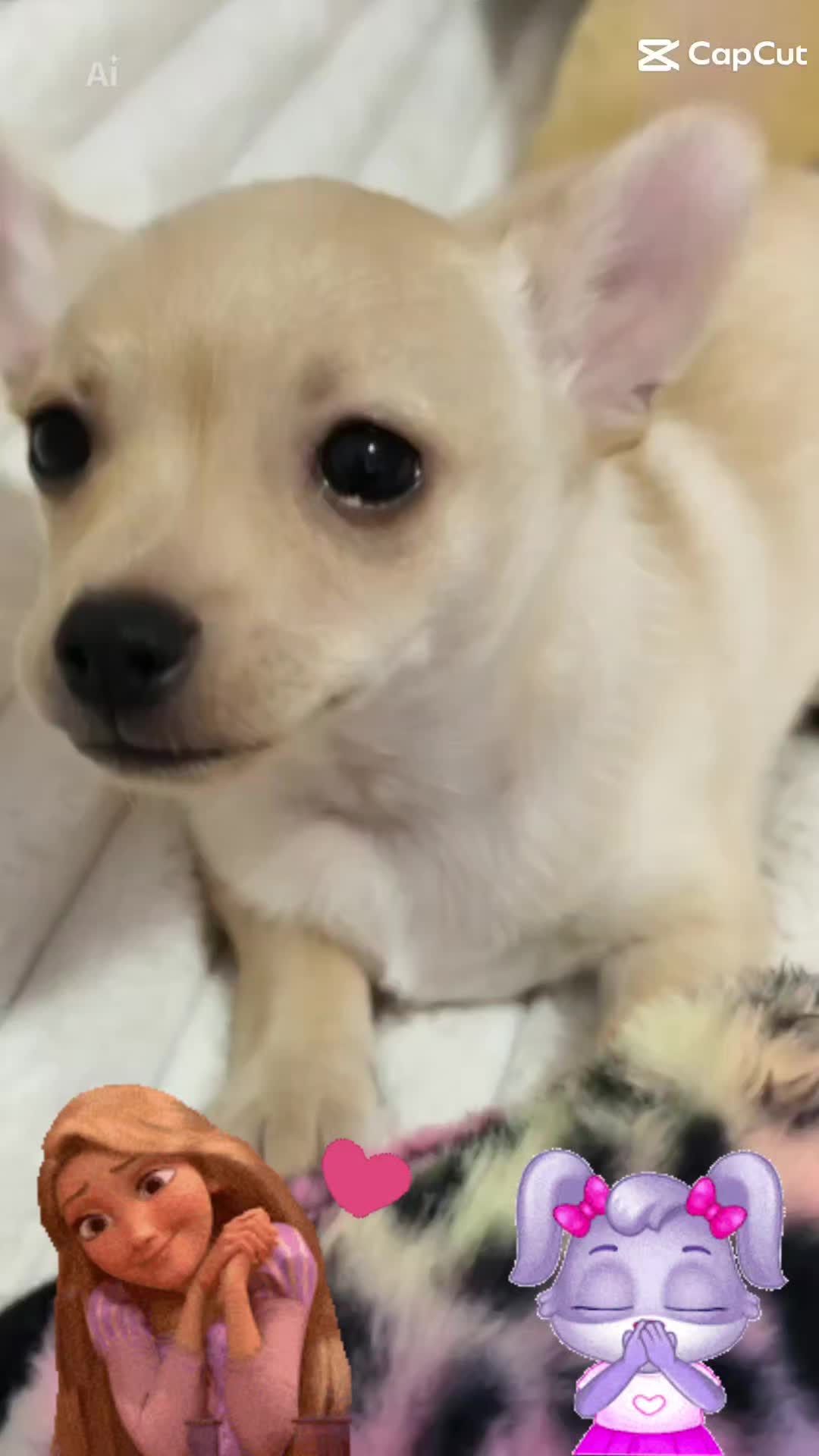 @๐บ๊ฅ๐บ ๐๐จ๐ฏ๐_๐๐ข๐ฑ๐ข ๐บ๊ฅ๐บ