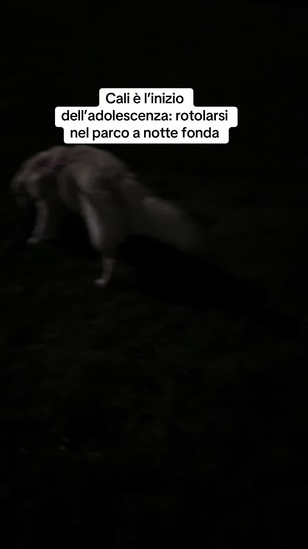 @Raffa&Cali