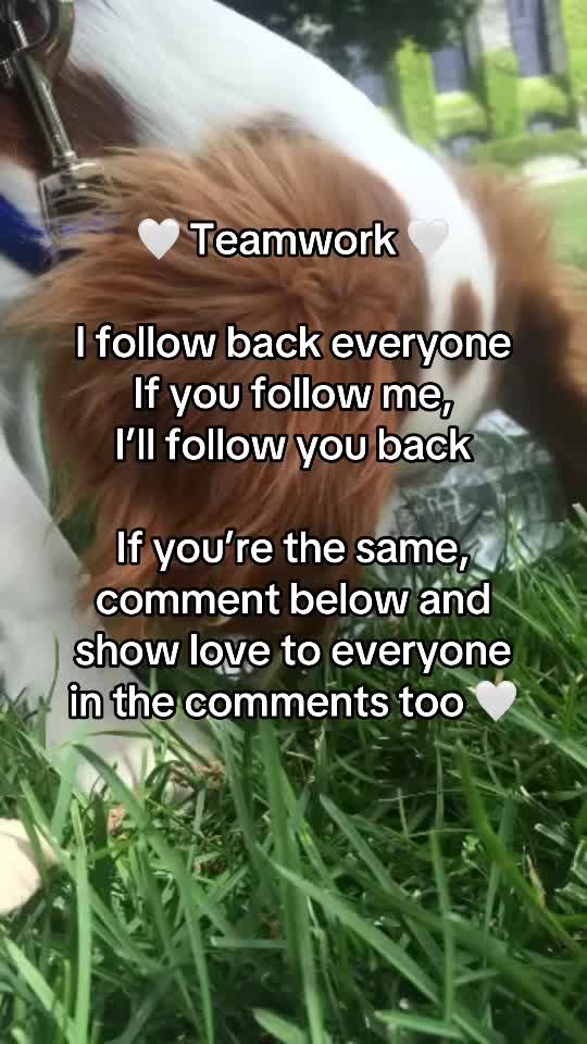 @ktjwashere