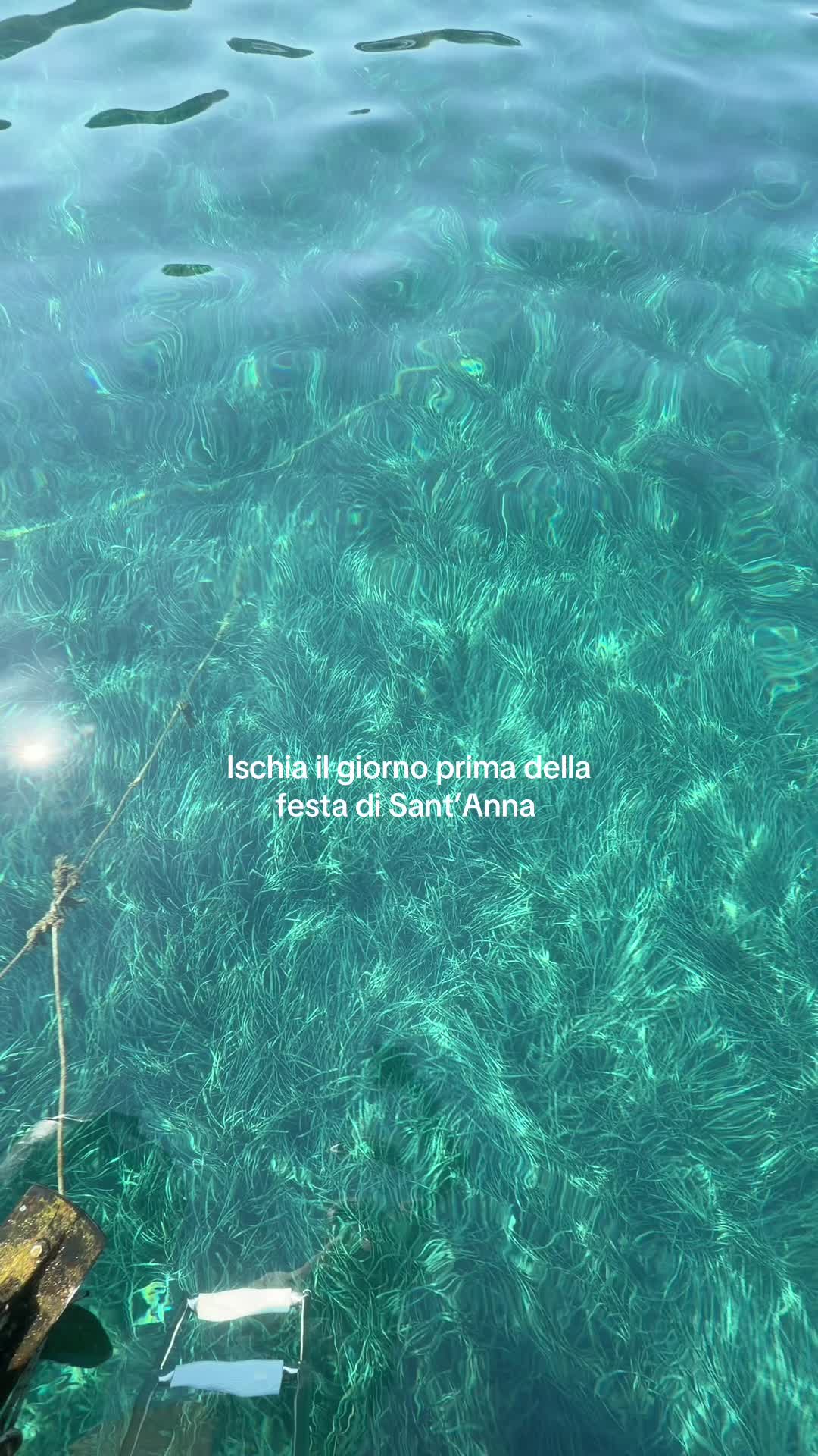 @micheleporcavacca