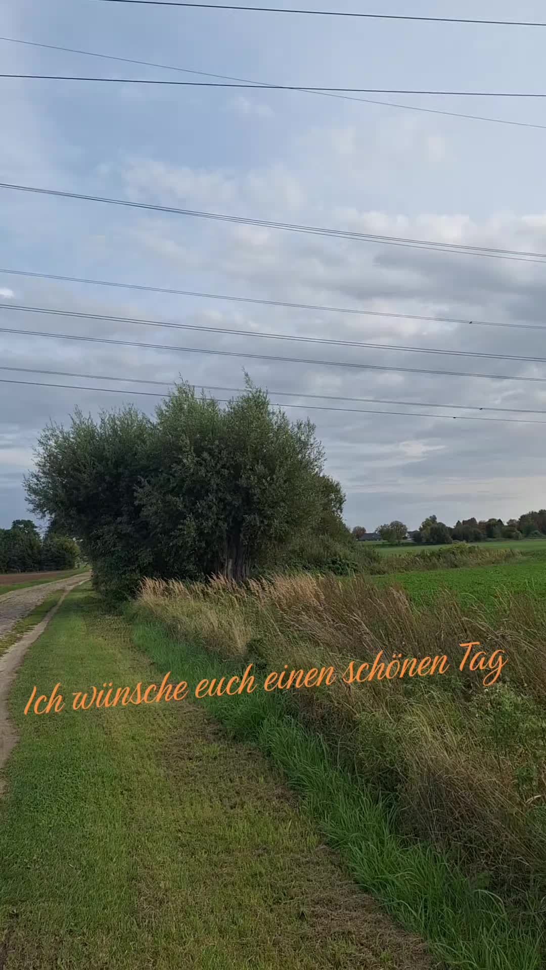 @Heike ❤️