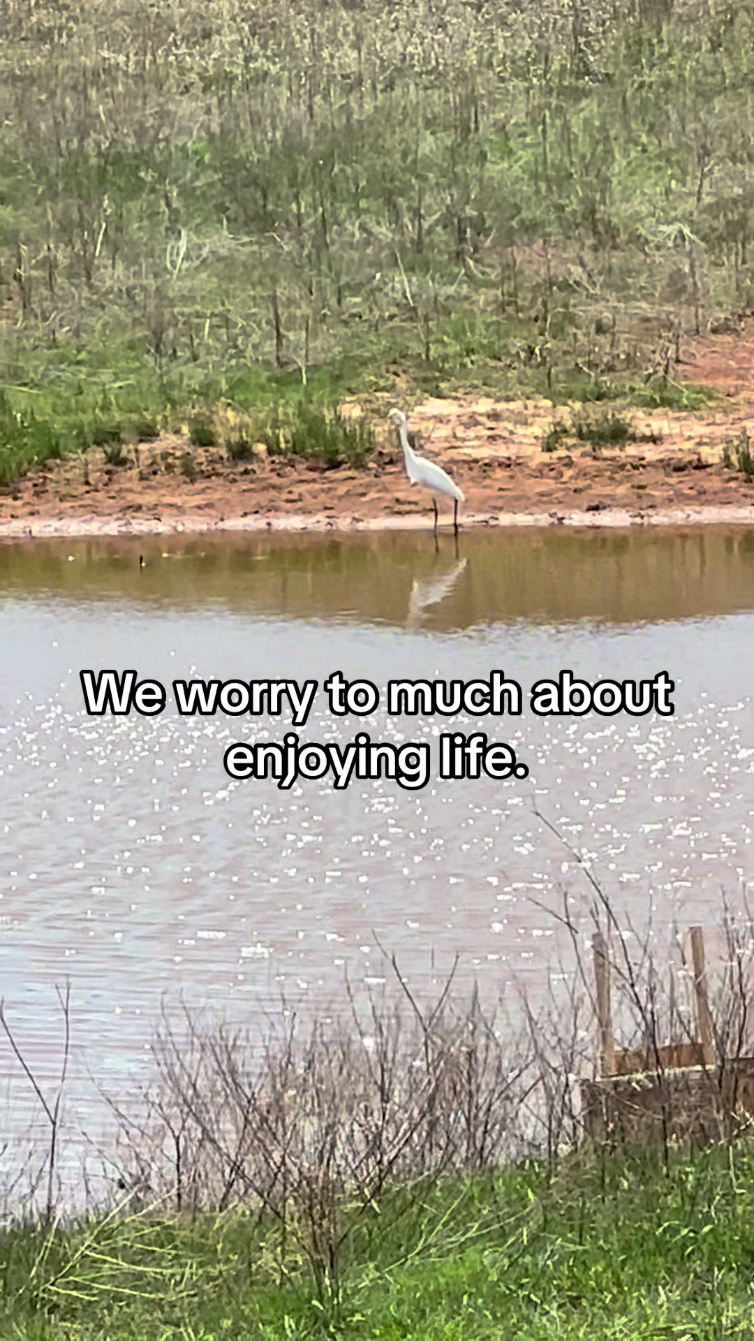 @Stoned philosophy