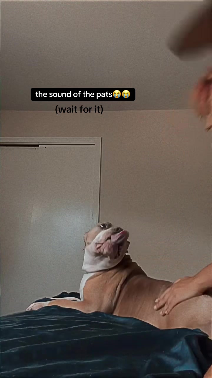 @MixedDepoBabi