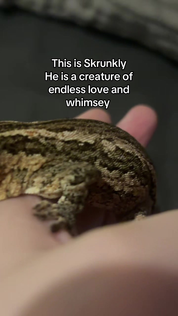 @Patchy the snep
