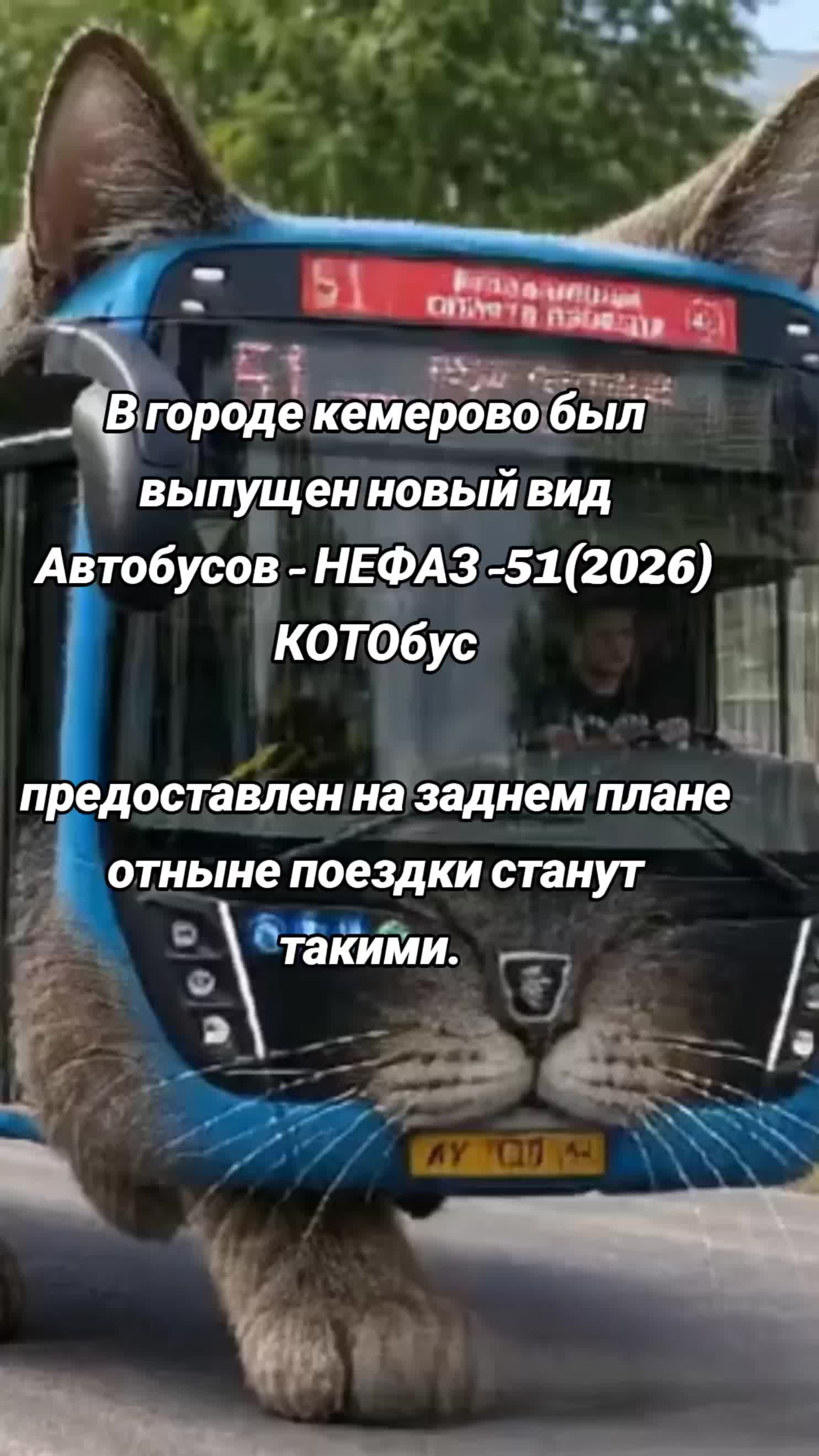 @51 ЛУЧШИЙ АВТОБУС