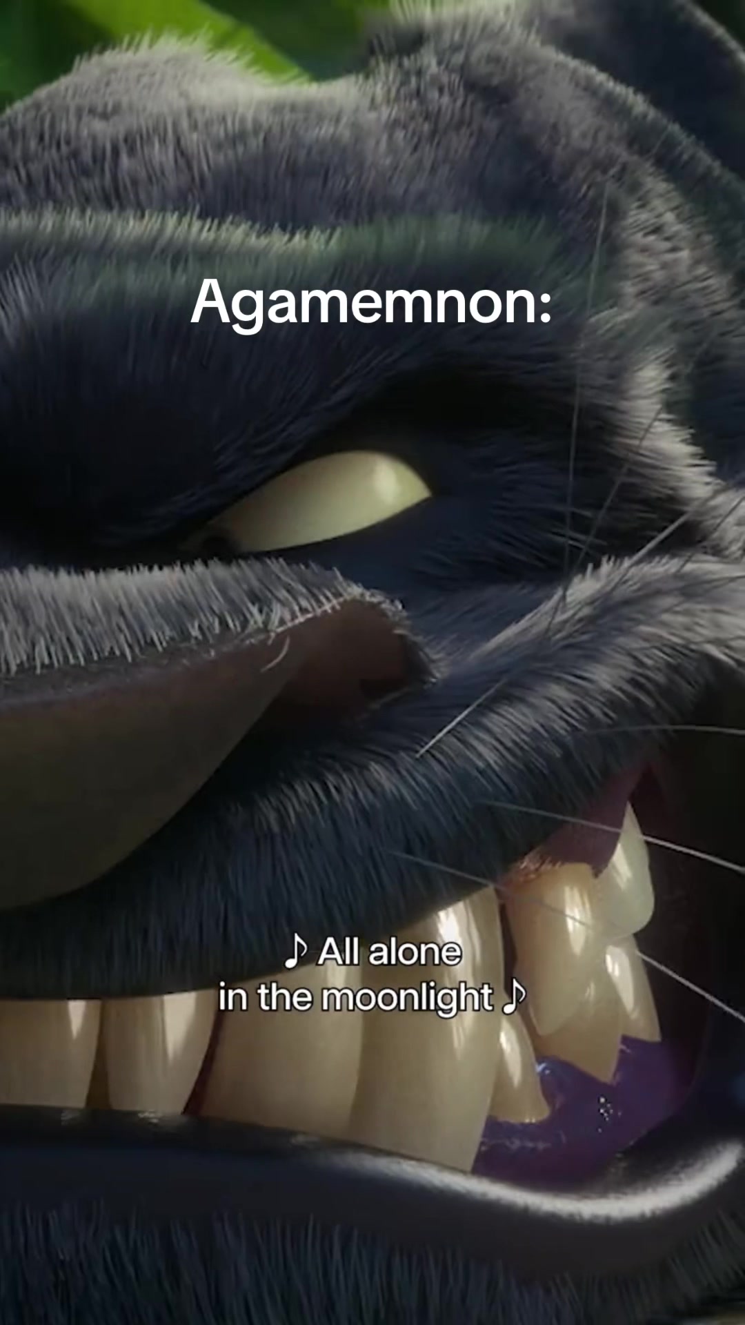 @imgingery