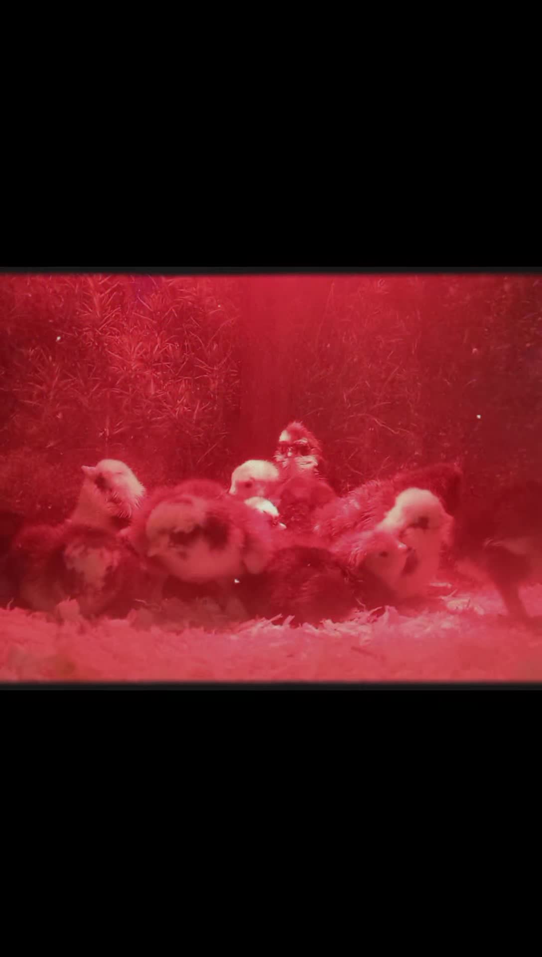 @🦚🆃𝓲𝓮𝓻🅿𝓪𝓻𝓴🆃𝓸𝓴🦚
