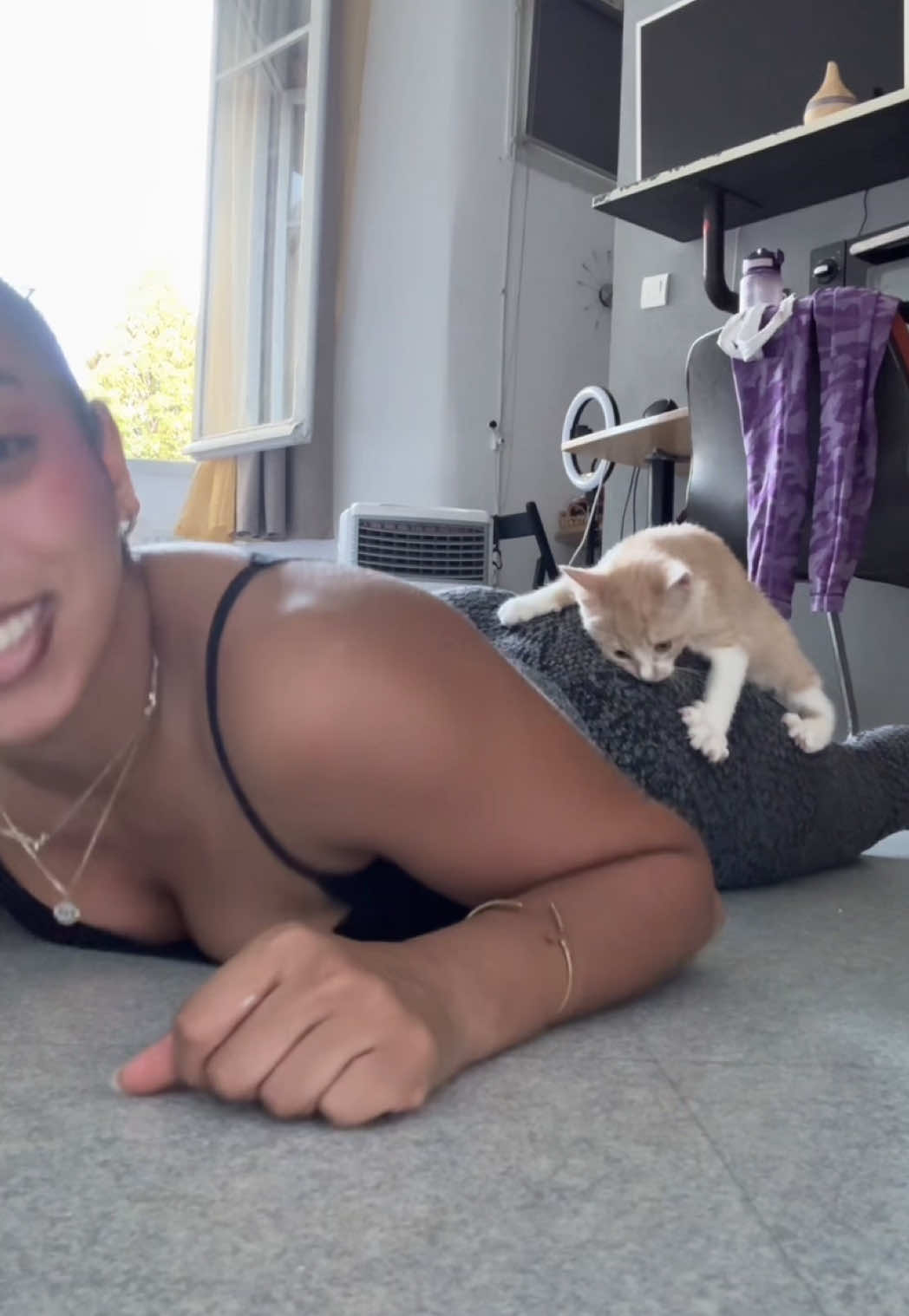 @pétassetassé