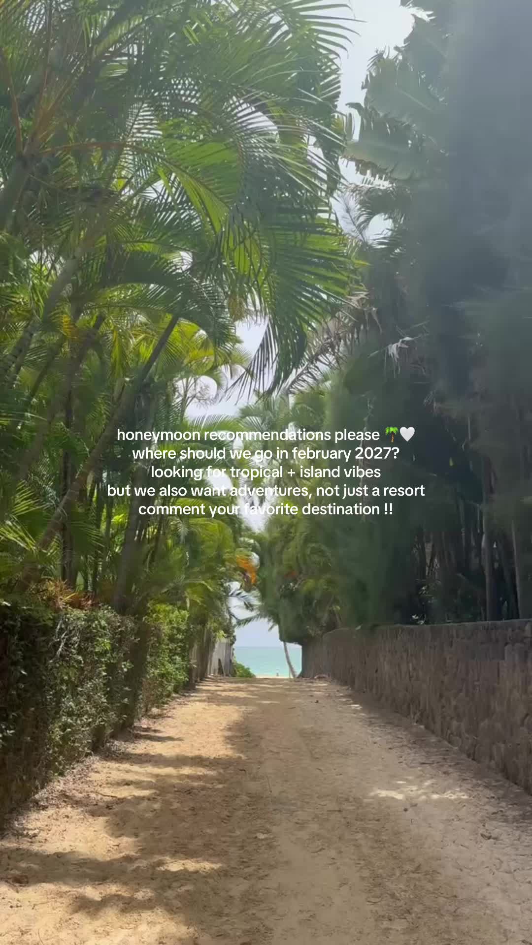@bylauraarante