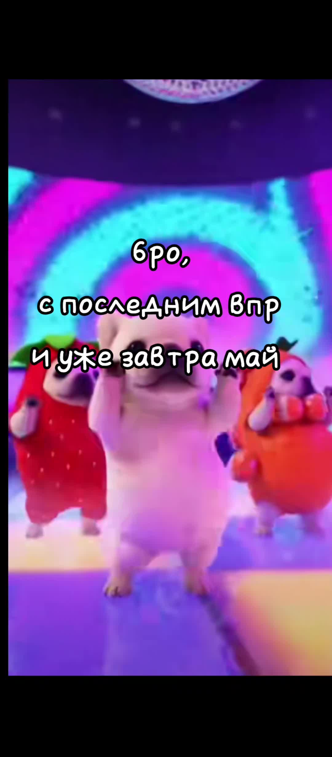 @๑𝓢𝓸𝓯𝓲𝓴𝓼.๑