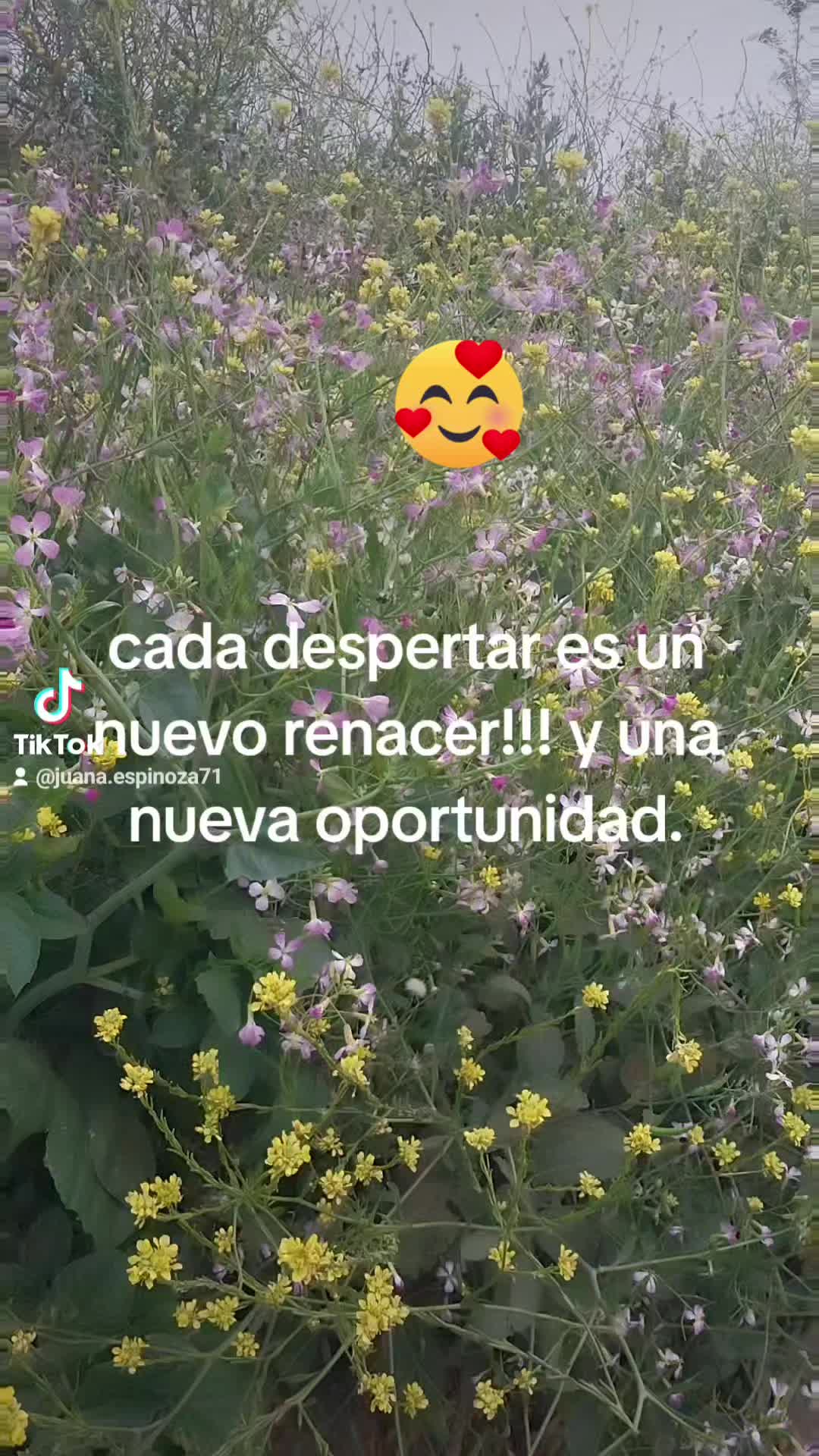@juana
