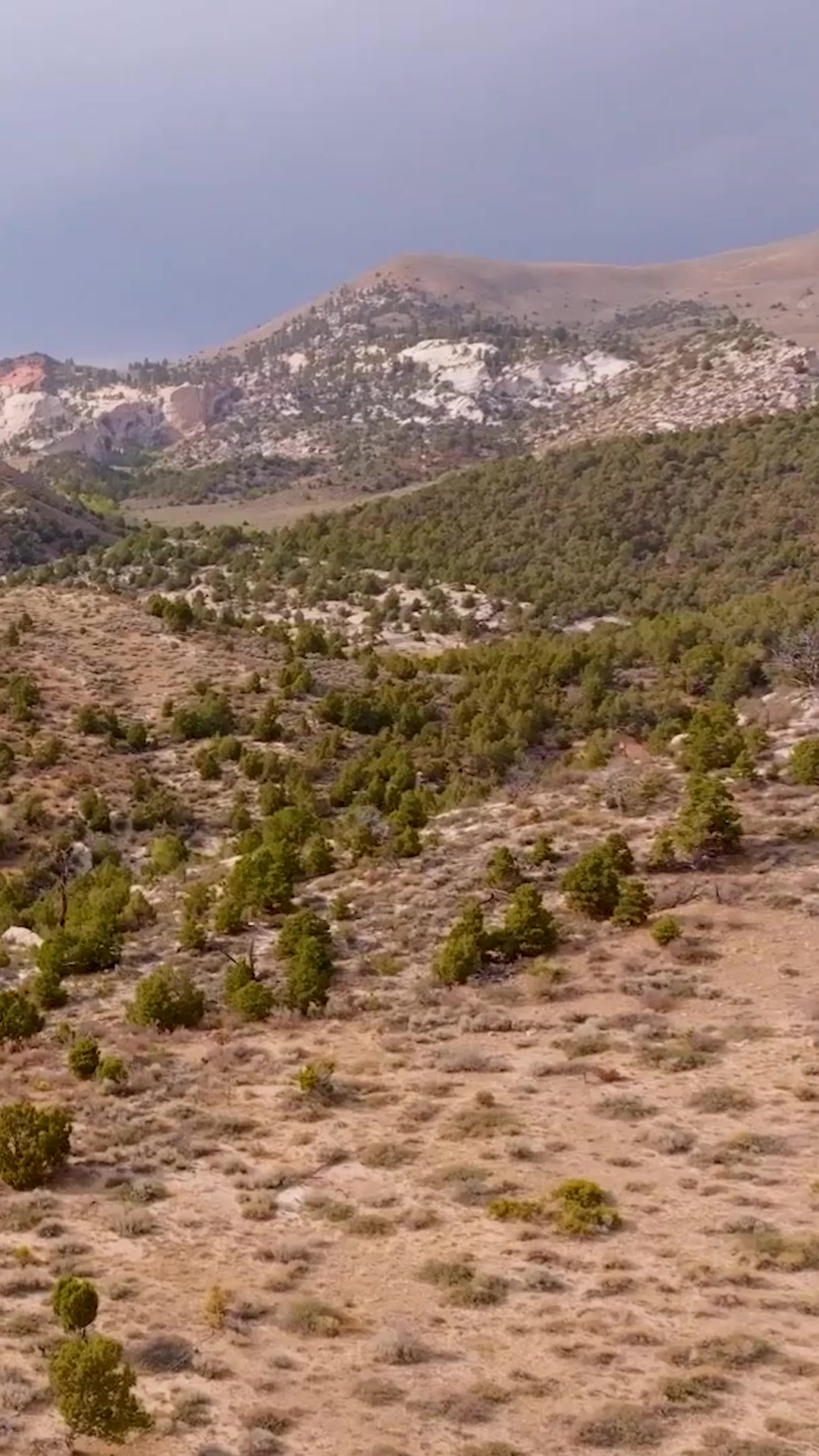 @Discovery