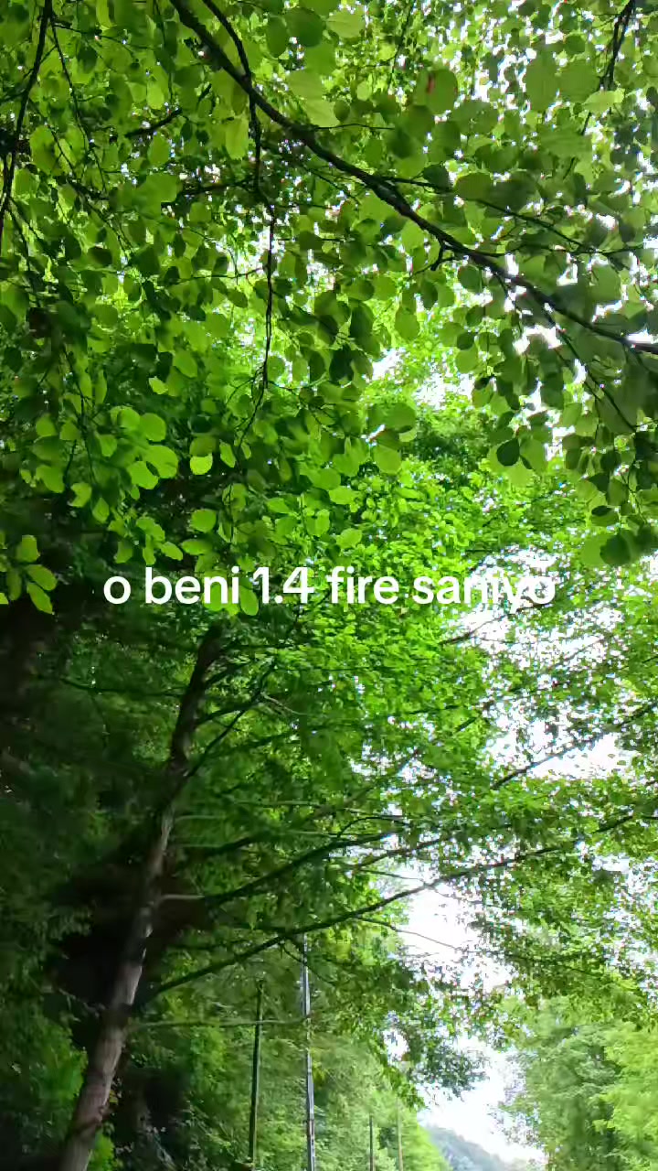 @Metin gökmen