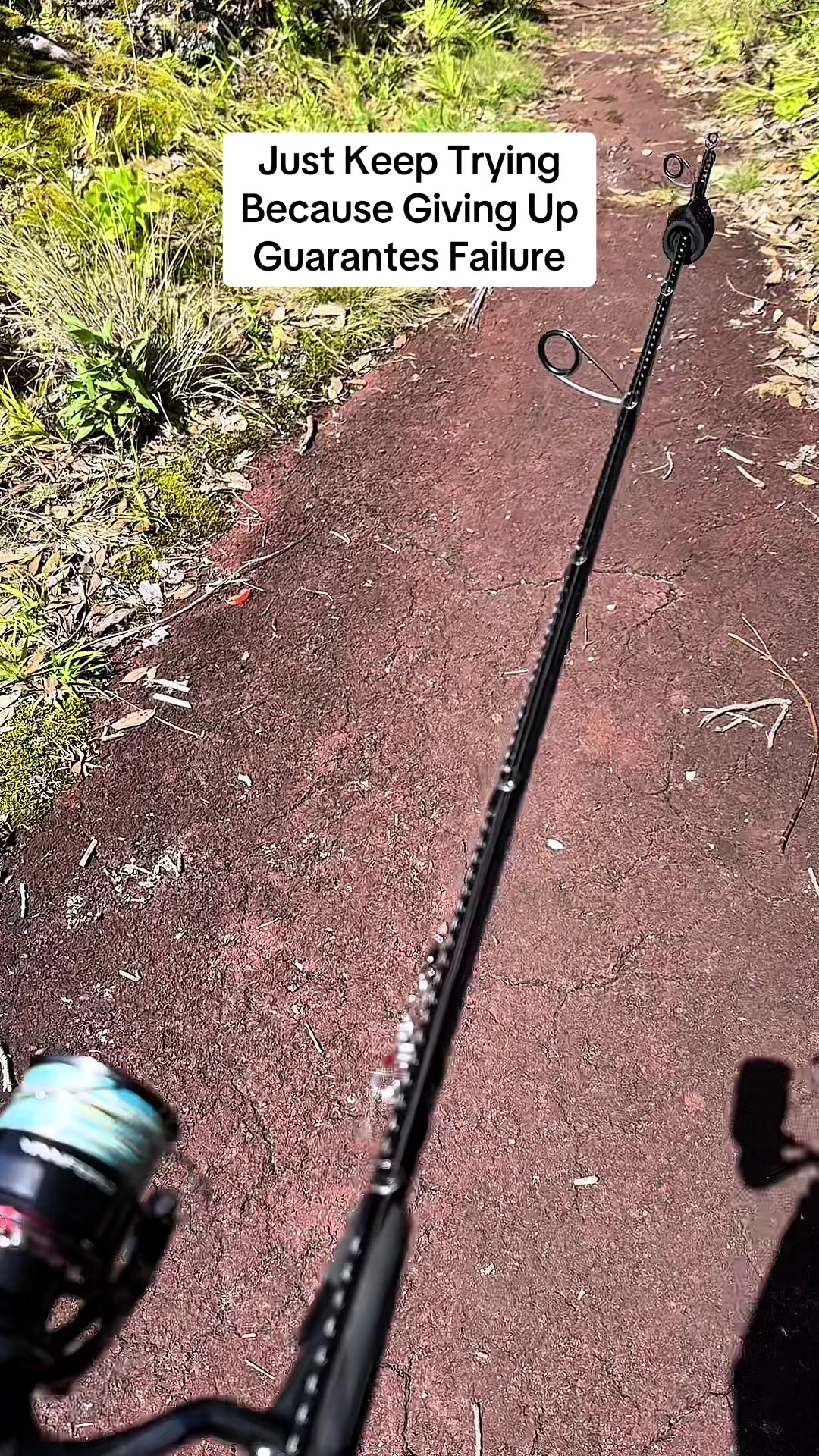 @Taqi Fishing