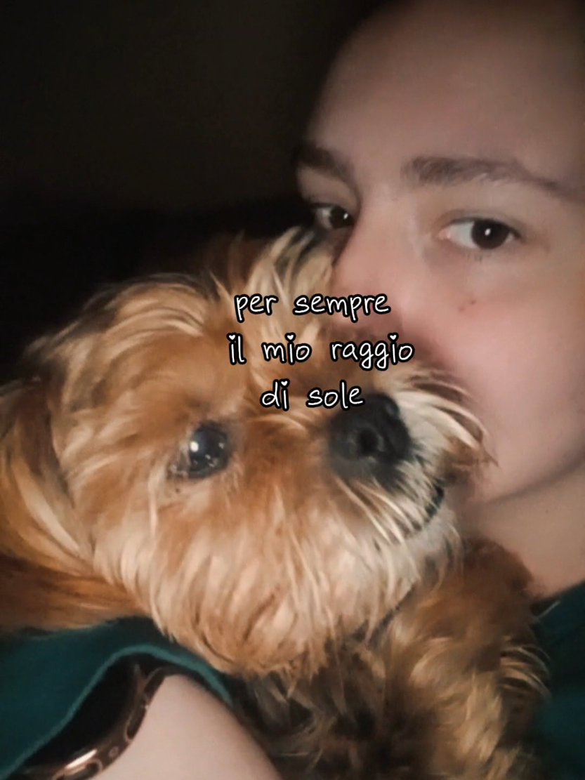 @sara segreto