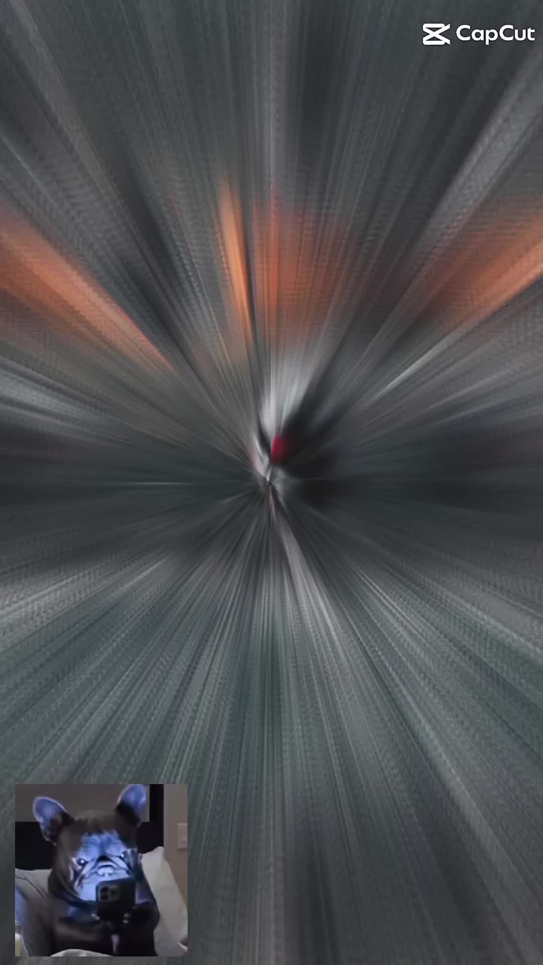 @deleted_user