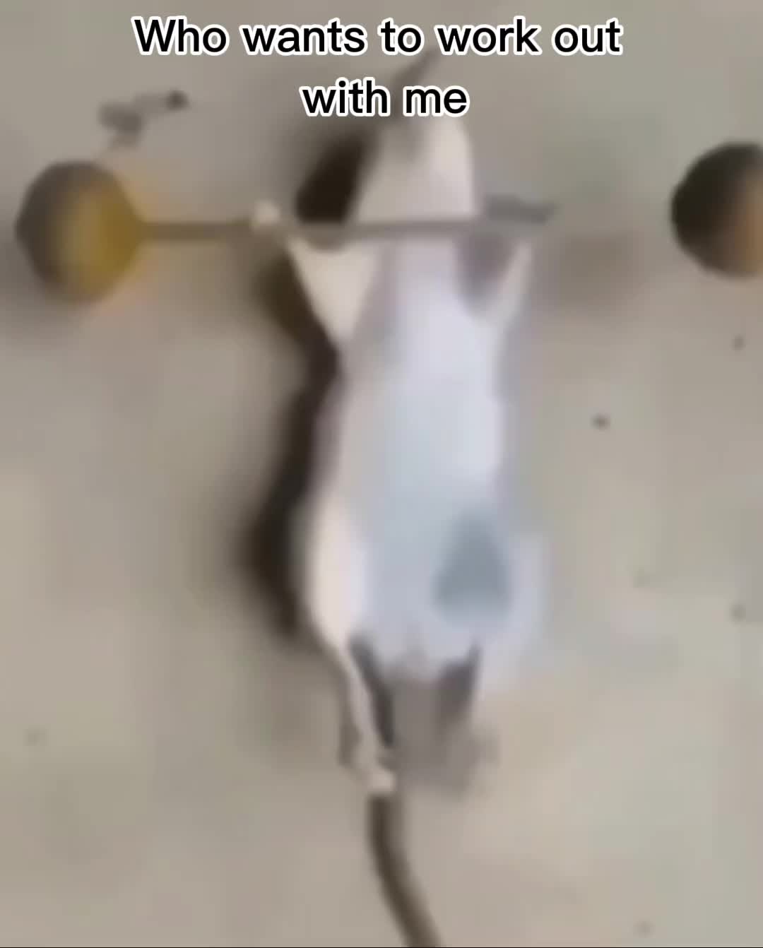 @.