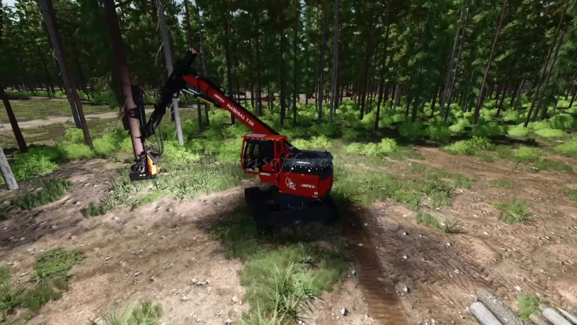 @SONS OF FORESTRY