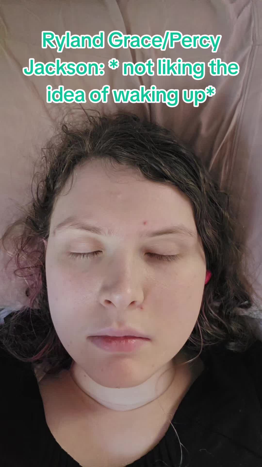@catperson