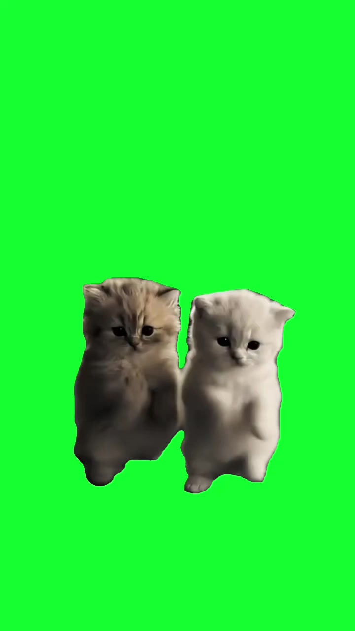 @TikTok Template
