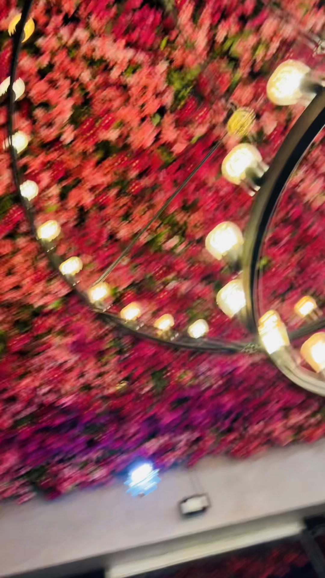 @𝐏𝐫𝐢𝐧𝐜𝐞 𝐀𝐥𝐢 𝐑𝐚𝐣𝐚 ✪