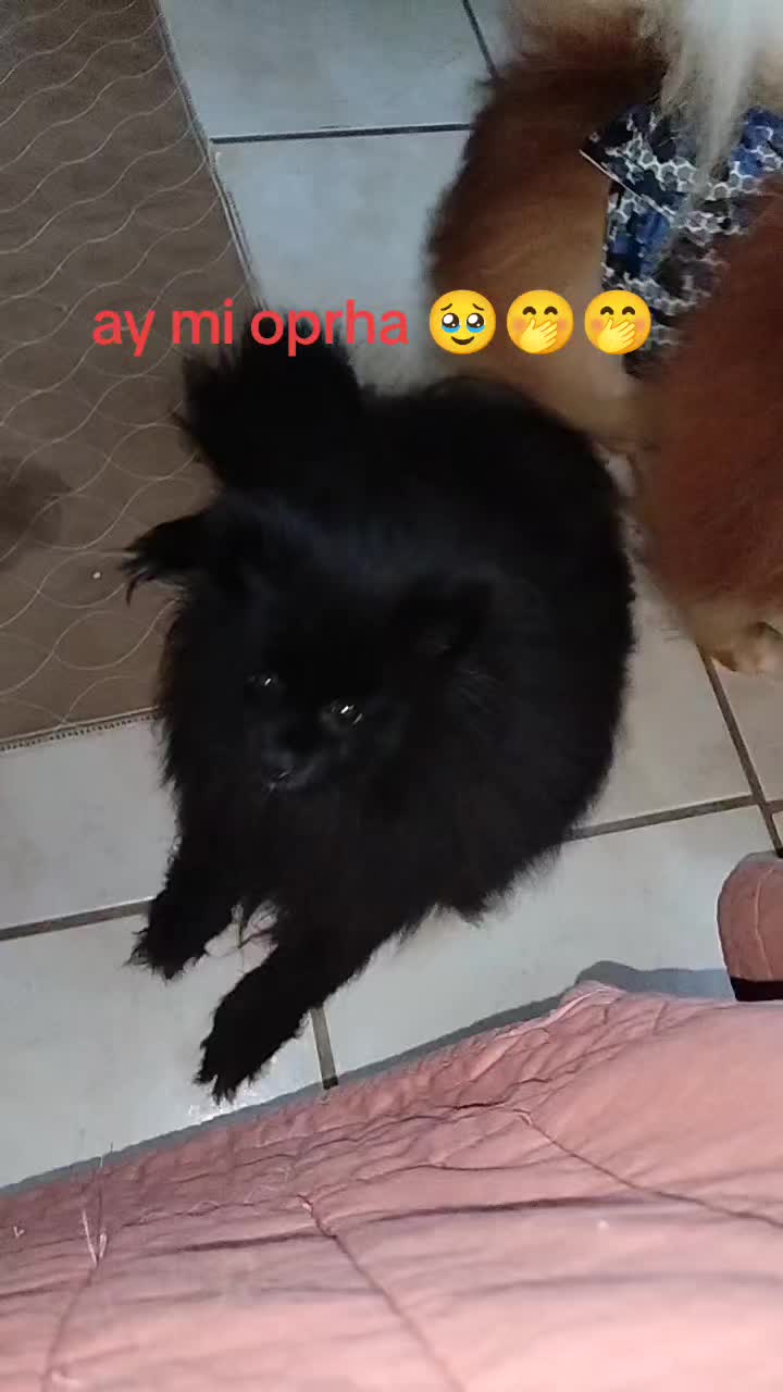 @Silvanna Lafontaynne