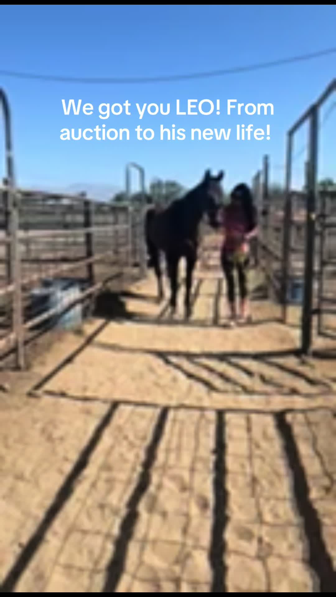 @runswiththeherd